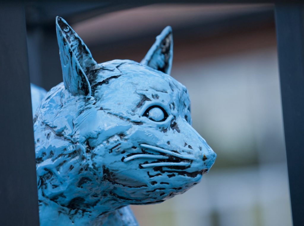 4-cat-face-1200×894