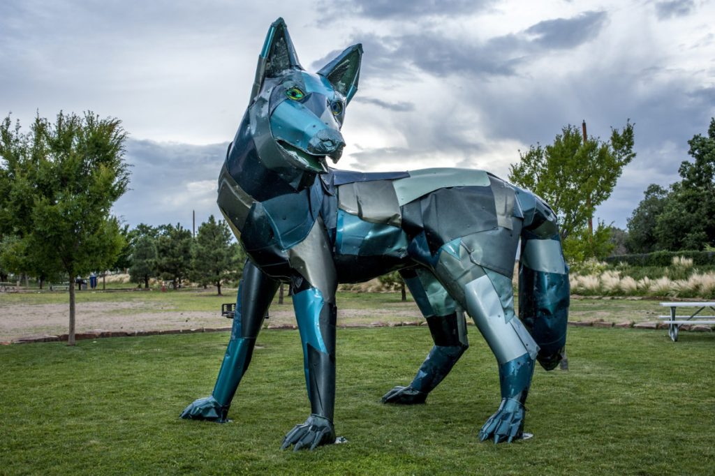1-Green-Coyote-Cover-1-1200×799